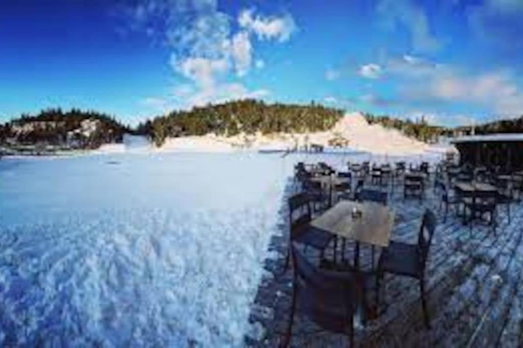 T2 Pour 4 Pers Style Chalet Pied Des Pistes Bolquere Pyrenees 2000 Buitenkant foto